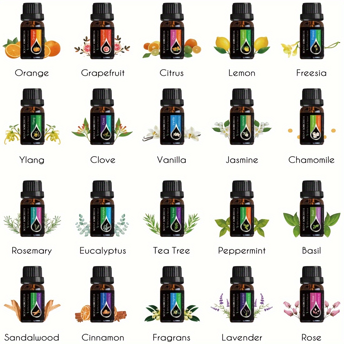 20개/세트 에센셜 오일 세트 라벤더 유칼립투스 스위트 - Perfume Fragrance Oil 리뷰 및 가격